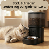 Smart Ped Feeder
